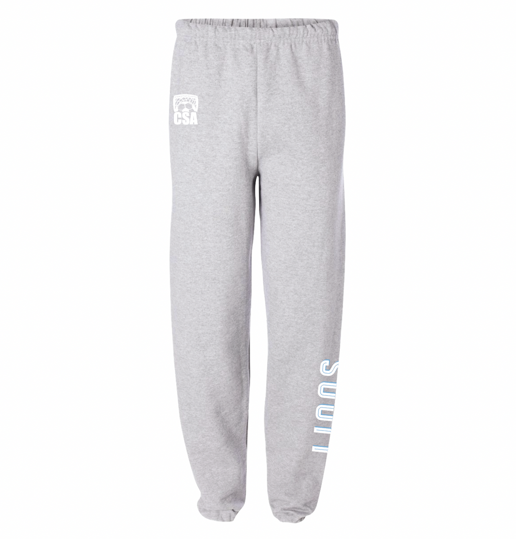 LIONS Team Sweatpant in Ash Htr