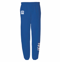 Load image into Gallery viewer, JEDI Team Sweatpant in Blue
