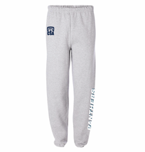 Load image into Gallery viewer, PANTHERS Team Sweatpant in Ash Htr
