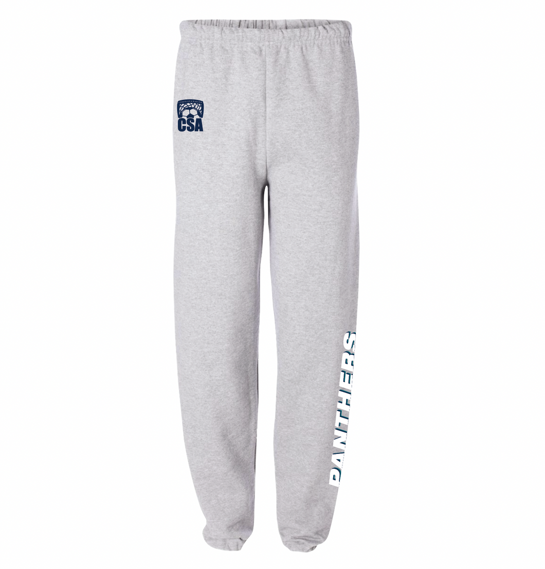 PANTHERS Team Sweatpant in Ash Htr