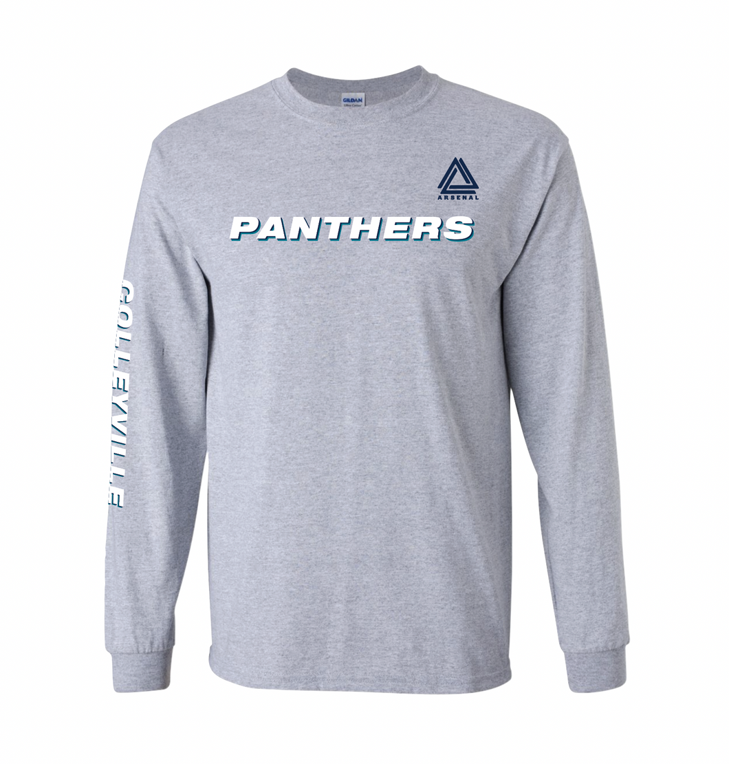 PANTHERS LS Team Tee in Grey Htr